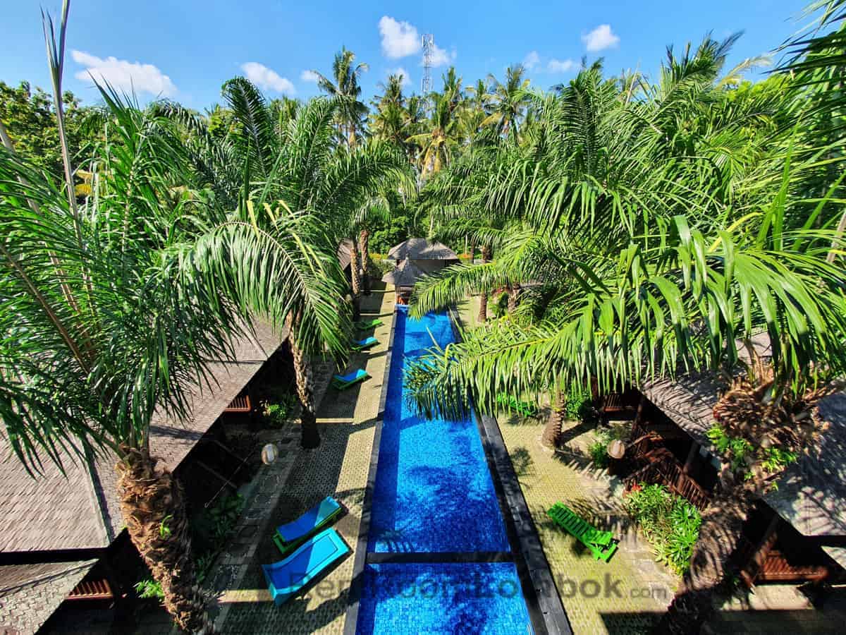 coconut boutique resort studio senggigi 3