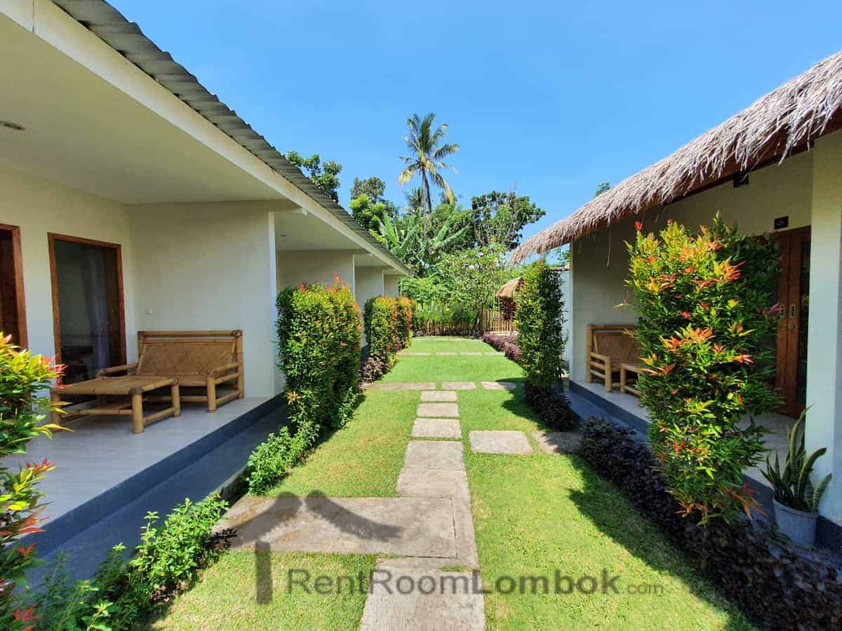 sammy studio senggigi 2